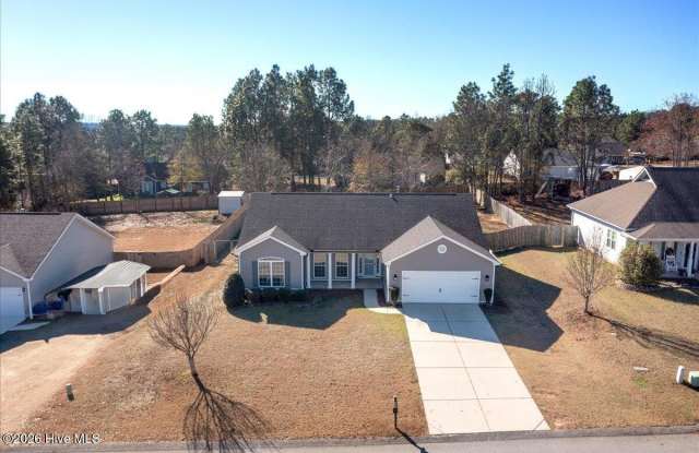 161 Sudlow Hills Court Gallery 4