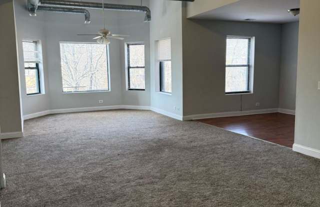 6909 South Paxton Ave. - 6909 South Paxton Avenue, Chicago, IL 60649