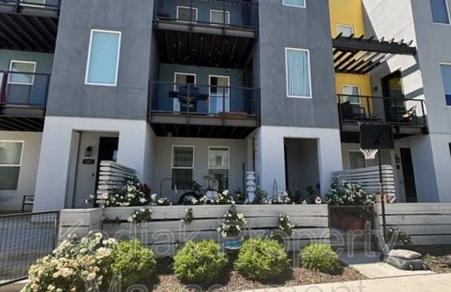 5311 W Canary Grass Way photos photos