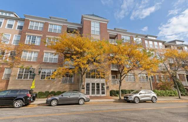 25 Adams Avenue - 25 Adams Avenue, Stamford, CT 06902