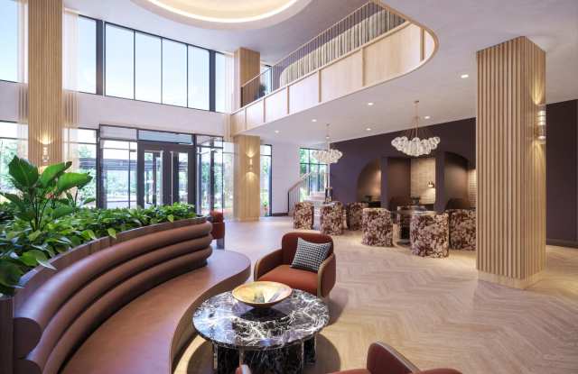 Soilis Sandy Springs Gallery 3