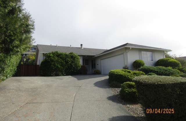 Newly remodeled single story home walking distance to San Marin Highschool! photos photos