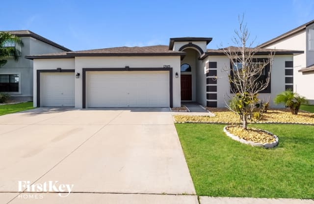 13925 Felix Will Road - 13925 Felix Will Road, Riverview, FL 33579