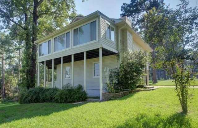 173 Pine Ridge Drive - 173 Pine Ridge Drive, Cedar Point, TX 77351