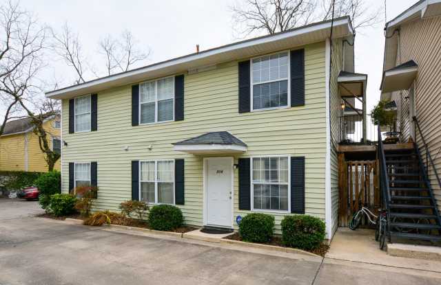 104 Spring Street - 104 Spring Street, Charleston, SC 29403