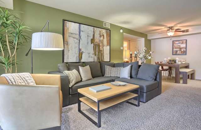 Springford photos photos