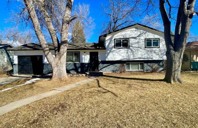 Newly Renovated 4 Bed 2 Bath House Near CSU! photos photos