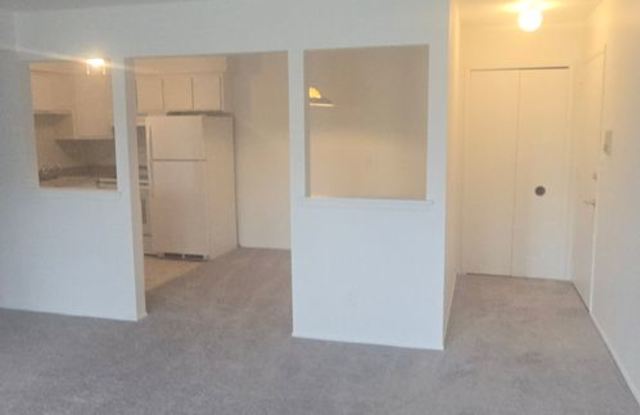 2 bed 2 bath condominium Gallery 4
