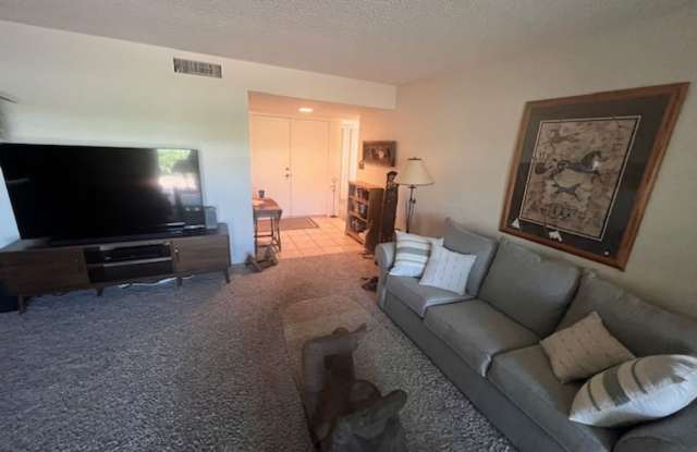 Sun Lakes Seasonal Rental Gallery 4