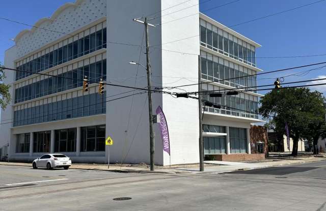 3207 Magnolia Street lot: 302 photos photos