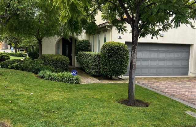 33 Pepper Tree photos photos