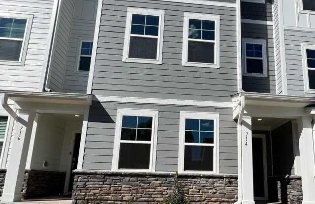 714 Cormiche Lane - 714 Cormiche Lane, Wake County, NC 27587