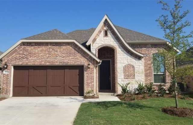 5704 Amphora Avenue - 5704 Amphora Avenue, McKinney, TX 75070