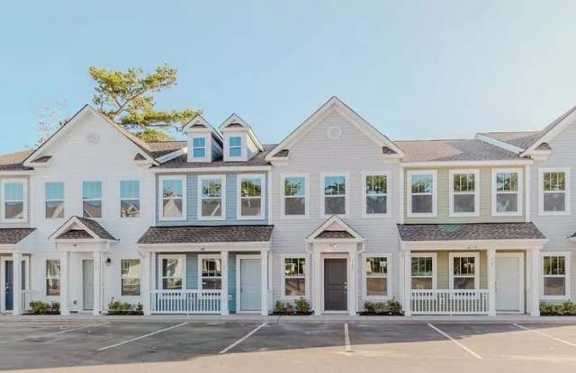 BRAND-NEW HOME IN LITTLE RIVER--JUST $1,400/MONTH photos photos