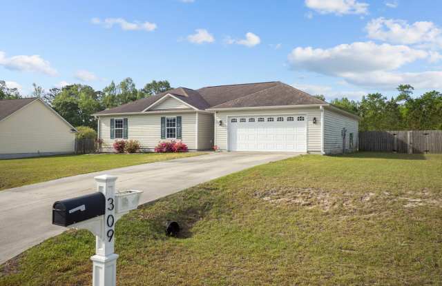 309 Forbes Lane photos photos