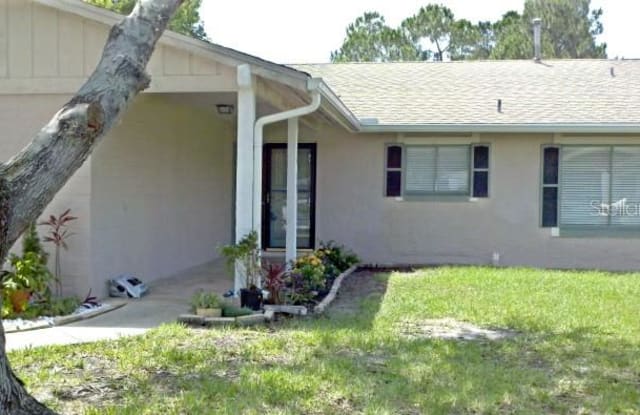 4837 LORETTA LANE - 4837 Loretta Lane, Williamsburg, FL 32821