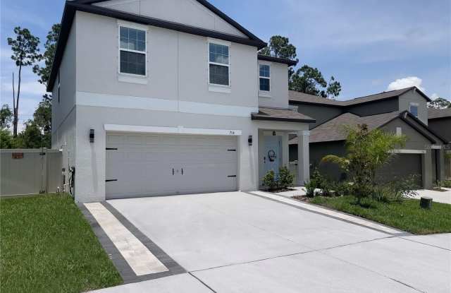 7114 EMERALD SPRING LOOP - 7114 Emerald Spring Loop, Pasco County, FL 34690 7114 EMERALD SPRING LOOP - 7114 Emerald Spring Loop, Pasco County, FL 34690