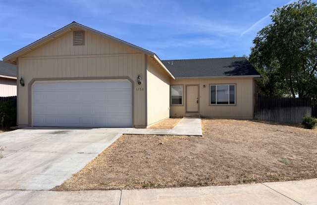 Mallard Estates 4 Bedroom, 2 Bath Home- Fallon, NV photos photos