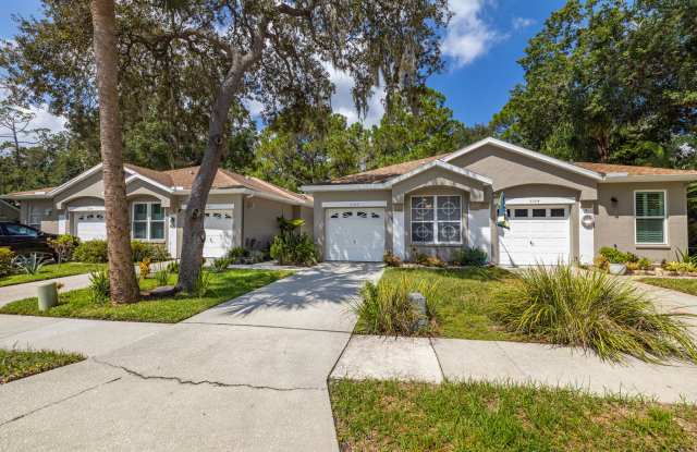3162 Brooker Creek Way - 3162 Brooker Creek Way, East Lake, FL 34685