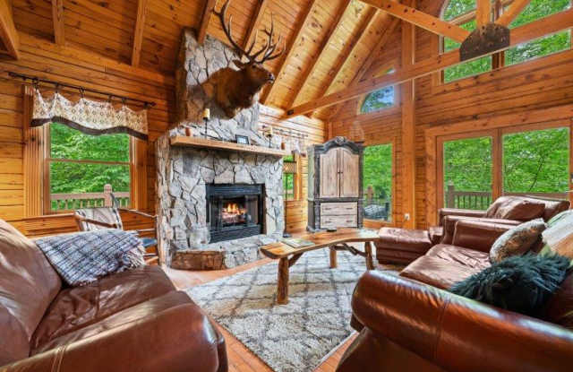 49 Dandelion Lane photos photos