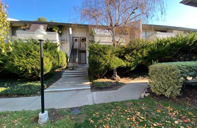 1 Bed 1 Bath Condo In Walnut Creek *REMODELED* (Marchbanks) photos photos
