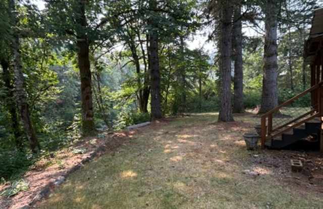 3-Bedroom home in Marcola on the water! Gallery 3