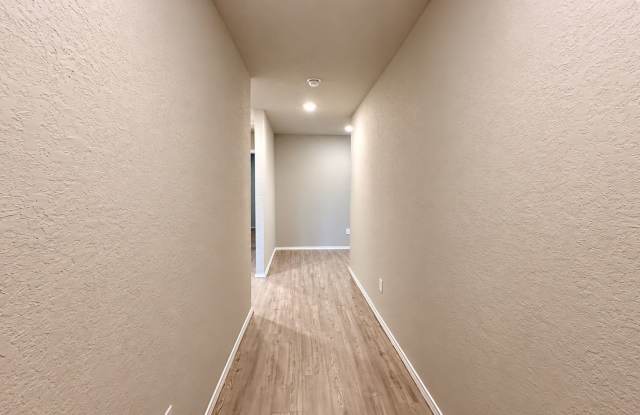 2852 Rosefinch, New Braunfels, TX, 78130 Gallery 4