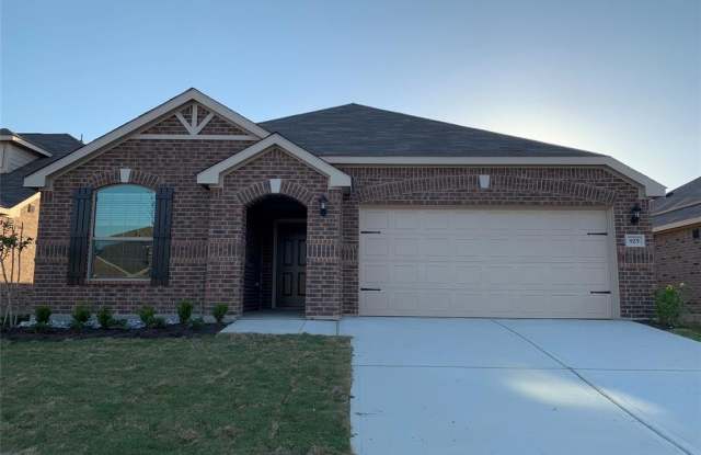 925 S First Street - 925 South 1st Street, Sanger, TX 76266