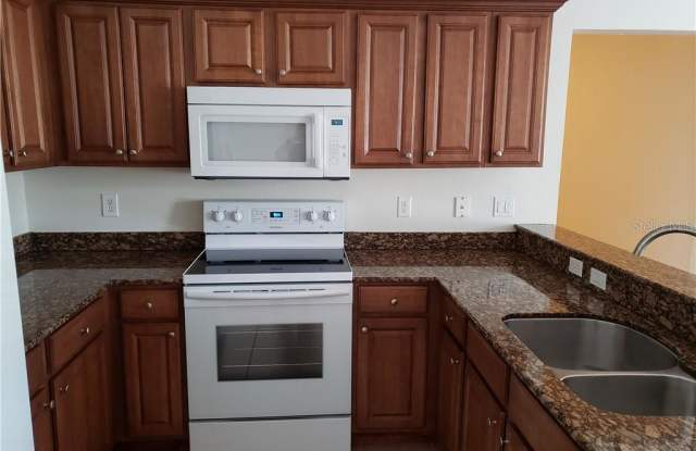 2539 RIVER PRESERVE COURT Gallery 3