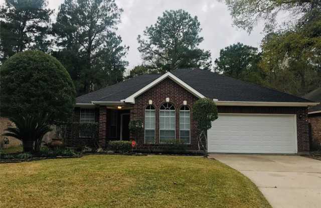 20611 White Berry Court - 20611 Whiteberry Court, Atascocita, TX 77346