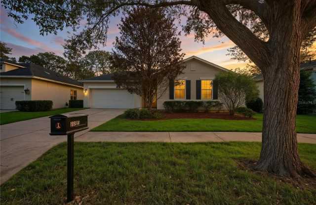 15810 STARLING WATER DRIVE photos photos