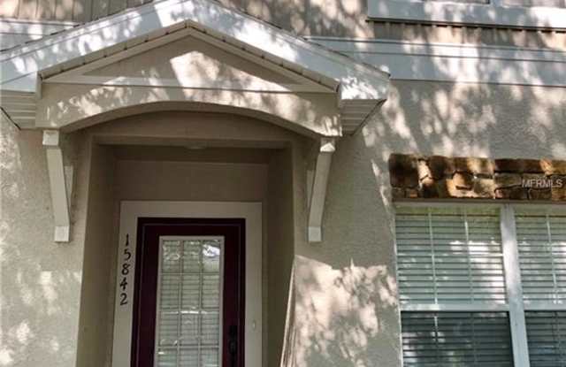 15842 FISHHAWK FALLS DRIVE Gallery 2