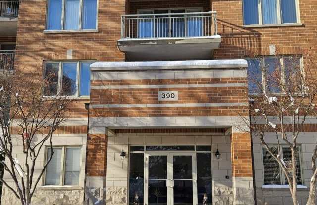390 S Western Avenue unit: 702 - 390 Western Avenue, Des Plaines, IL 60016