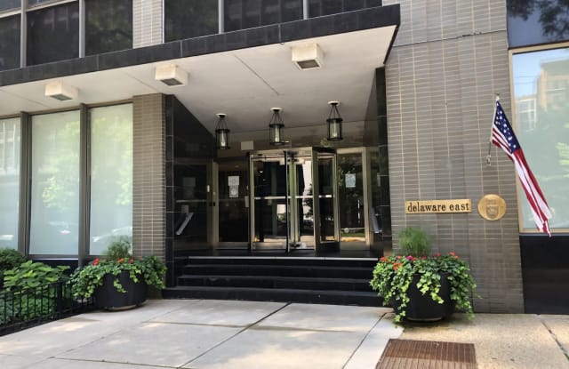 253 East Delaware Place - 253 East Delaware Place, Chicago, IL 60611