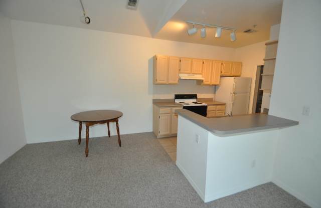RIVERVIEW: Allegro Palms - 1 bed/1 bath, 3rd Floor AVAILABLE NOVEMBER 16th! Gallery 4