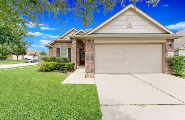 8746 Sunny Gallop Drive - 8746 Sunny Gallop Drive, Harris County, TX 77375