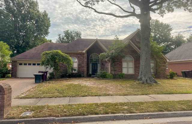 1056 COTTON ROW Cv Gallery 1