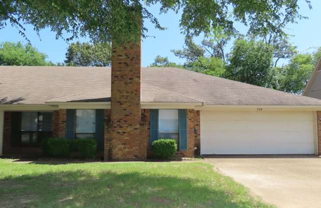 Whitehouse ISD! Spacious 3 Bedroom, 2 Bath Duplex w/Garage photos photos