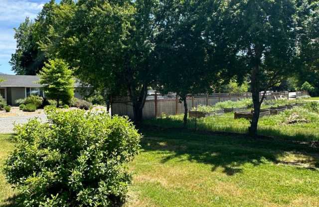 3BED1.5BATH - BONUS ROOM, LARGE YARD, WASHER/DRYER HOOKUP, DRIVEWAY PARKING Gallery 3