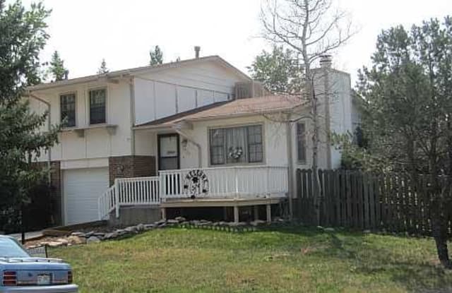 1420 South Street - 1420 South Street, Castle Rock, CO 80104