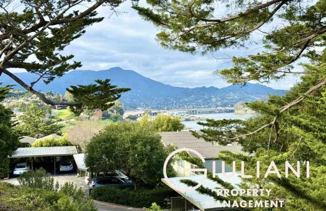 347 Eden Roc Drive - - - 347 Eden Roc Drive, Sausalito, CA 94965 347 Eden Roc Drive - - - 347 Eden Roc Drive, Sausalito, CA 94965