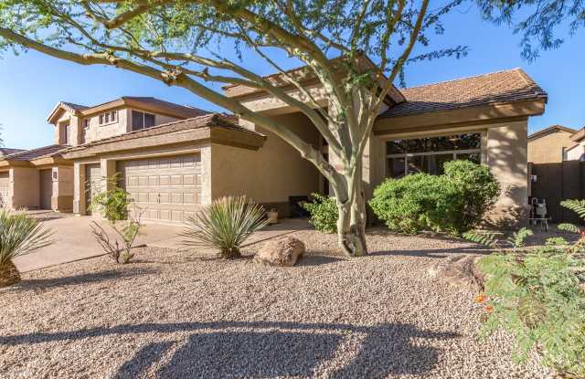6774 E Gelding Drive Gallery 2