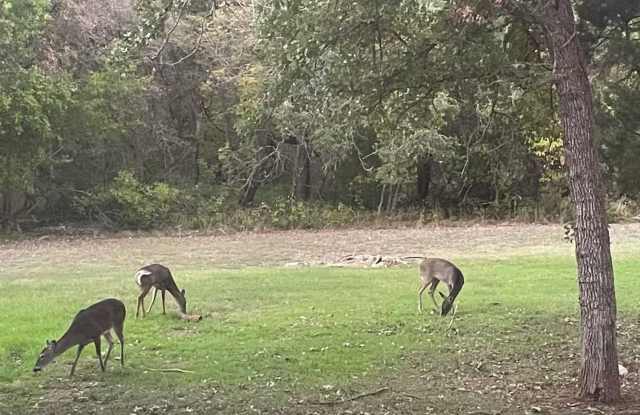 Room in 3 Bedroom Home at Copper Hills Dr photos photos