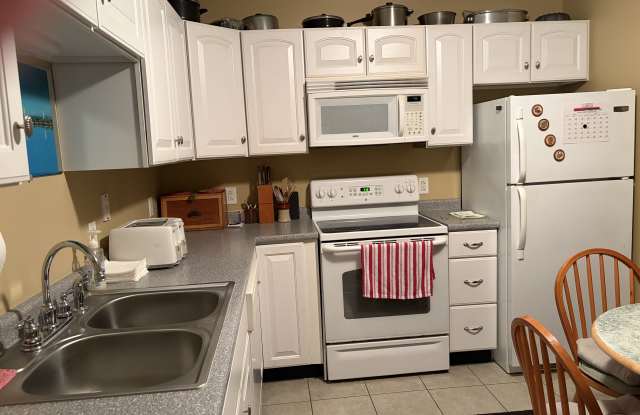 64 Alison Drive photos photos