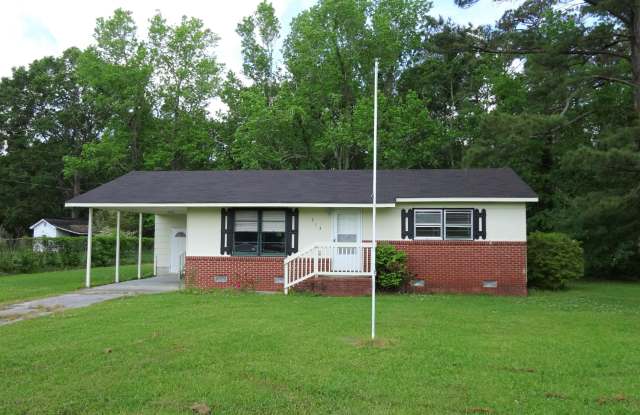 313 Cougar Lane - 313 Cougar Lane, Half Moon, NC 28546