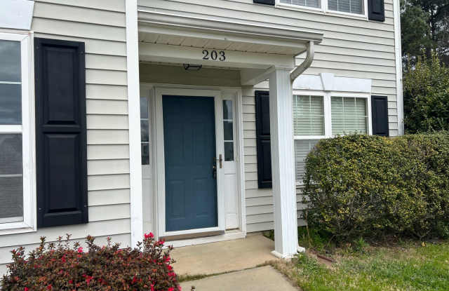203 Downing Bluff Drive Gallery 4