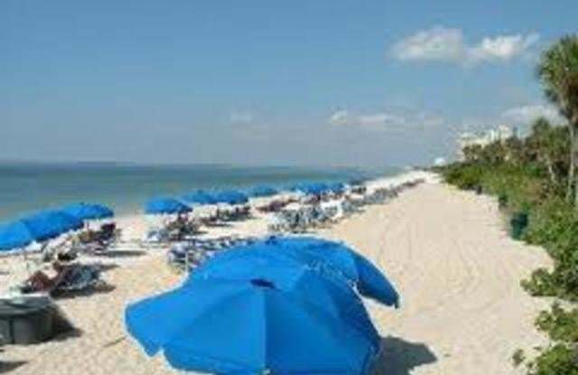 100 Lambiance Cir unit: 1-101 photos photos