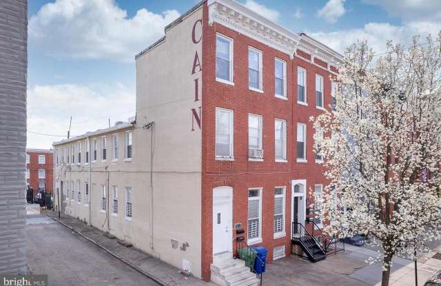 517 SCOTT photos photos