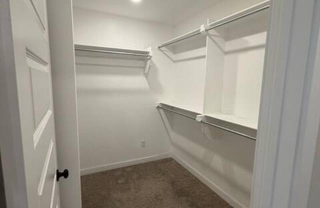 317 Pratt Dr Gallery 4