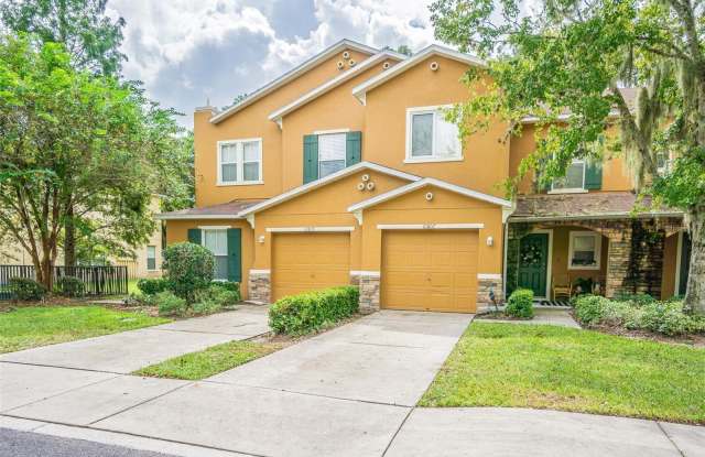 10809 GREAT CARLISLE COURT - 10809 Great Carlisle Court, Riverview, FL 33578